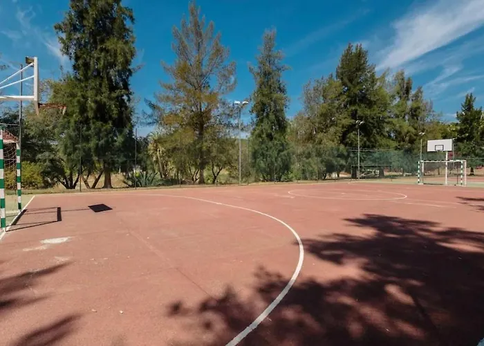 Modern In A Magnificent Mountain *